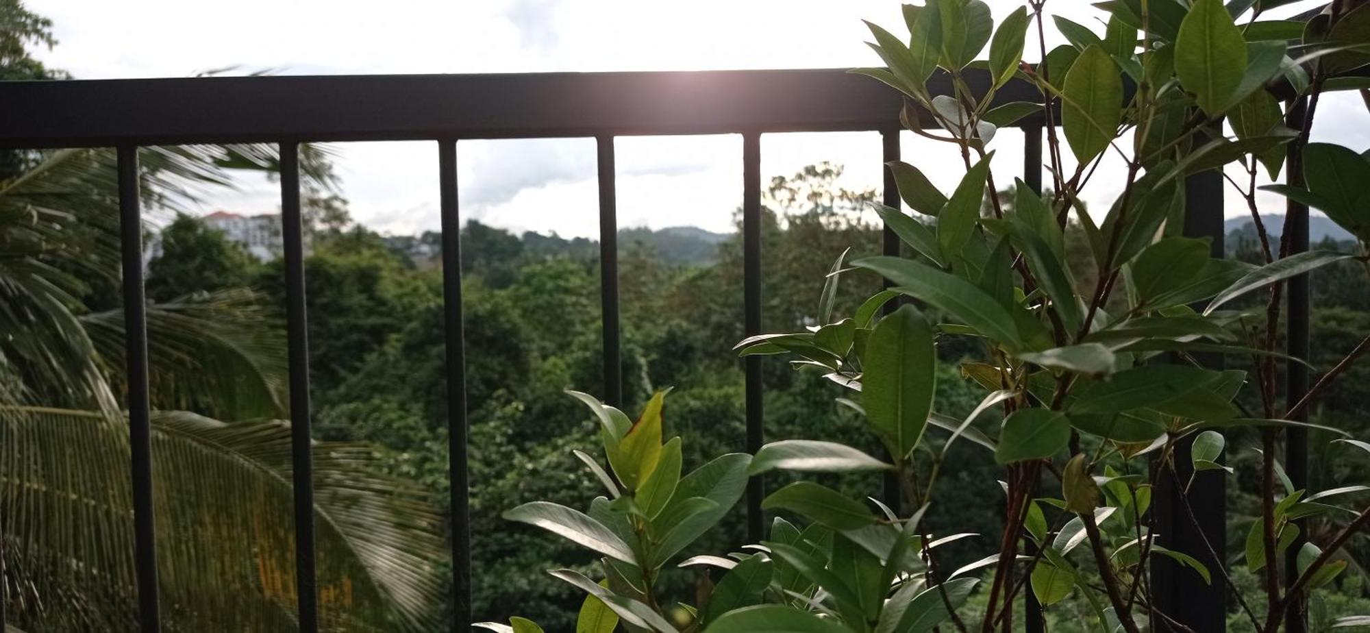 Forest View - No: 50/17 Privatunterkunft *